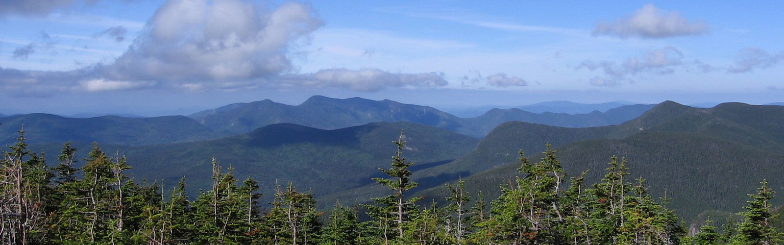 View of the mountain and balsam fir trees along one of the Mountain Birdwatch routes.