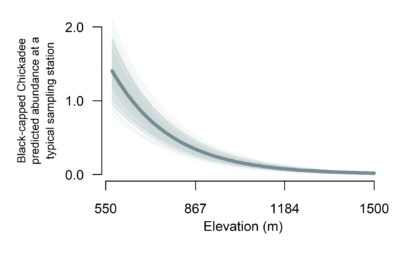 A plot showing elevations between 550 and 1500 meters on the x axis and Black-Capped Chickadee predicted abundance at a typical sampling station on the y axis. The trendline shows that Black-capped Chickadee predicted abundance decreases from roughly 1.5 individuals at 550 meters to 0 individuals around 1500 meters.