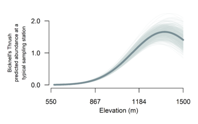 A plot showing elevations between 550 and 1500 meters on the x axis and Bicknell's Thrush predicted abundance at a typical sampling station on the y axis. The trendline shows that Bicknell's Thrush predicted abundance is 0 at 550 meters and peaks at roughly 1250 meters.