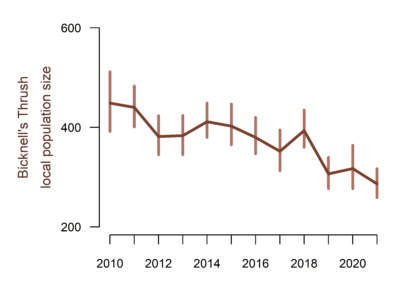 A plot of Bicknell's Thrush study area abundance. The x axis show years between 2010 and 2021. The y axis shows local population size. Local population size shows a steady downward trend from approximately 450 individuals in 2010 to approximately 300 individuals in 2021.