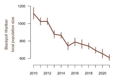 A plot of Blackpoll Warbler study area abundance. The x axis show years between 2010 and 2021. The y axis shows local population size. Local population size has been steadily decreasing from roughly 1100 individuals in 2010 to 600 in 2021.