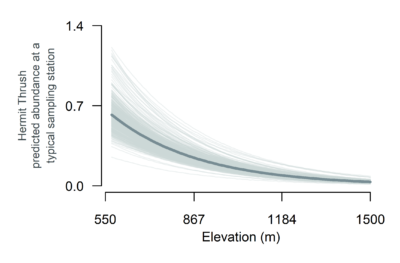 A plot showing elevations between 550 and 1500 meters on the x axis and Hermit Thrust predicted abundance at a typical sampling station on the y axis. The trendline shows that Hermit Thrush predicted abundance decreases from roughly 0.7 individuals at 550 meters to 0 individuals around 1500 meters.