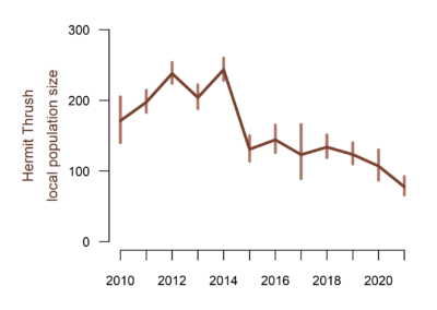 A plot of Hermit Thrush study area abundance. The x axis show years between 2010 and 2021. The y axis shows local population size. Local population size increased slightly to approximately 240 in 2014, then dropped steeply in the next year to approximately 130 individuals and has been steadily decreasing to less than 100 individuals in 2021.