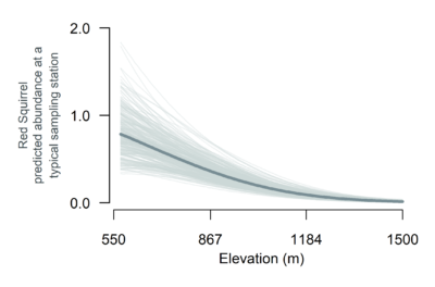 A plot showing elevations between 550 and 1500 meters on the x axis and Red Squirrel predicted abundance at a typical sampling station on the y axis. The trendline shows that red squirrel predicted abundance decreases gradually as elevation increases.