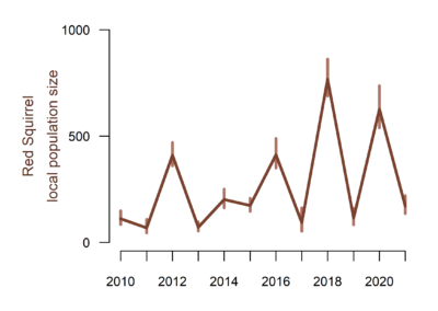 A plot of Red Squirrel study area abundance. The x axis show years between 2010 and 2021. The y axis shows local population size. Local population size fluctuates greatly between close to 0 individuals during some years and well over 500 individuals during other years.