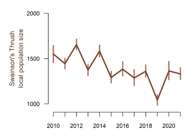 A plot of Swainson's Thrush study area abundance. The x axis show years between 2010 and 2021. The y axis shows local population size. Local population size fluctuates between roughly 1700 and 1000 individuals with an overall downward trend from 2010 to 2021.