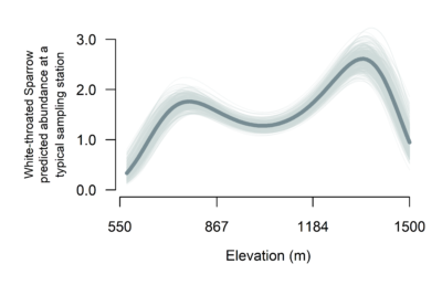 A plot showing elevations between 550 and 1500 meters on the x axis and White-throated Sparrow predicted abundance at a typical sampling station on the y axis. The trendline shows that White-throated Sparrow predicted abundance is close to zero at 550 meters and has two peaks: one at around 1.8 individuals at 800 meters and one at around 2.5 individuals around 1350 meters.