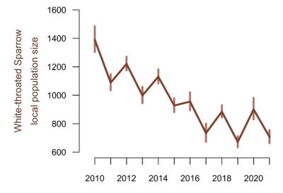 A plot of White-throated Sparrow study area abundance. The x axis show years between 2010 and 2021. The y axis shows local population size. Local population size has been steadily decreasing from approximately 1400 individuals in 2010 to 700 in 2021.