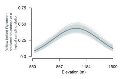 A plot showing elevations between 550 and 1500 meters on the x axis and Yellow-bellied flycatcher predicted abundance at a typical sampling station on the y axis. The trendline shows that Yellow-bellied Flycatcher predicted abundance increases from roughly 0 individuals at 550 meters to 0.5 individuals around 1000 meters and decreases to close to 0 individuals at 1500 meters.